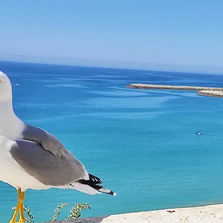 Alzira By Rossio Albufeira