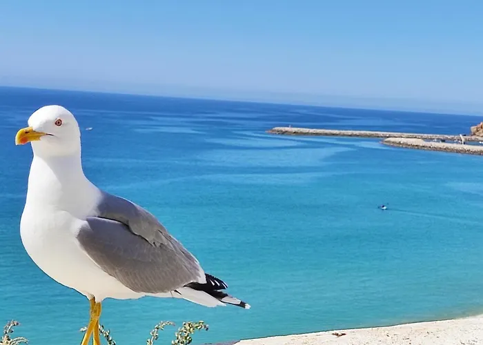 Alzira By Rossio Albufeira